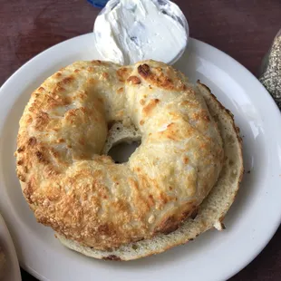 Asiago Bagel