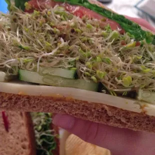 So much sprouts!  Way too much!