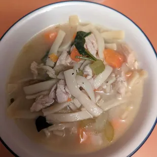 Bowl chicken noodle soup