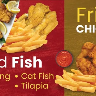 bbq wings, chicken wings, bbq chicken, food, fried chicken wings, poultry, chicken wings and fried chicken, chicken, fried chicken