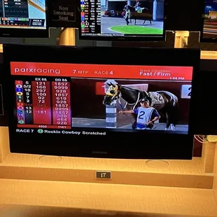 Horse racing monitors