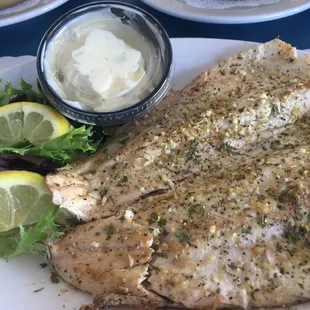 Key West Haddock
