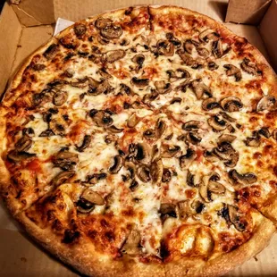 Mushroom Pizza. Ask for it crispy!