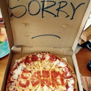 Delicious cheesy pizza