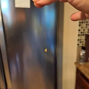 Blonde hair that was embedded in my pizza that I had to pull off my tongue and out of my mouth