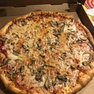 Mushroom pizza. Authentic NY style.