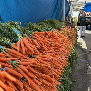 carrots and other vegetables