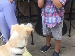 Liberty's Bar & Bottle