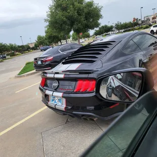 Every single  CALI DREAMS 714 BORN RAISED