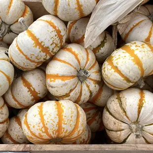 a box of pumpkins