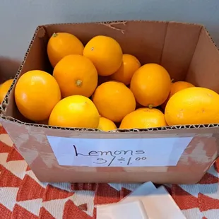 3 Meyer Lemons for $1