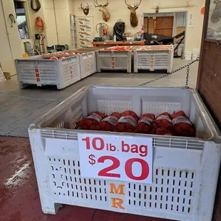10 lb bag of Mandarins for $20. Packaging station.