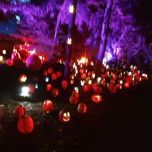 Pumpkin decorations