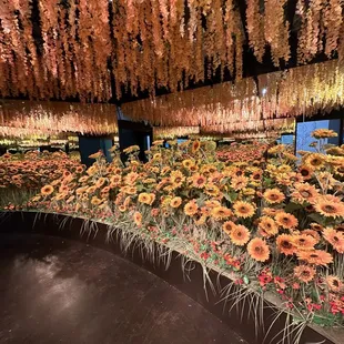 Sunflower Mirror Room