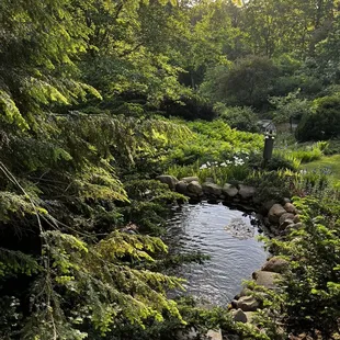 The grounds outside at IMA