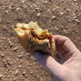 Are you kidding me ? Where is the sandwich ?