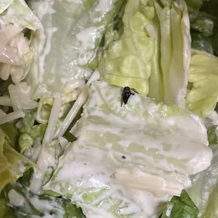 salads