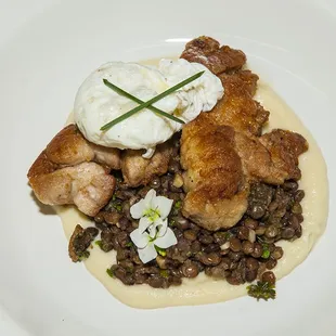 Pan Fried Veal Sweetbreads, Parsnip Puree, Lentils, Hickory Smoked Bacon, Parsley Chimichurri, Fried Egg