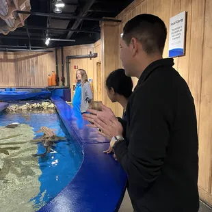 Shark petting Tank