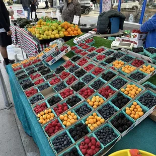 a variety of fruits
