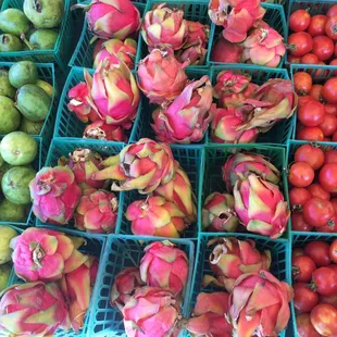 Beautiful dragon fruit. Makes you go, "rwar!"