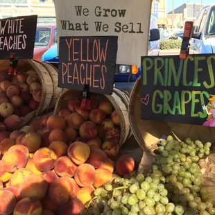 The grapes had to fit in with Peach somehow. "Princess Peach."