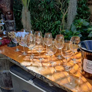 wine glasses lined up on a table