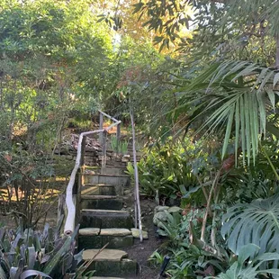 views from a walk around the winery