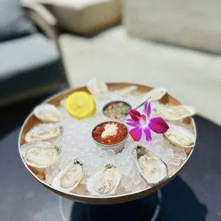 Oysters ! Beautiful !