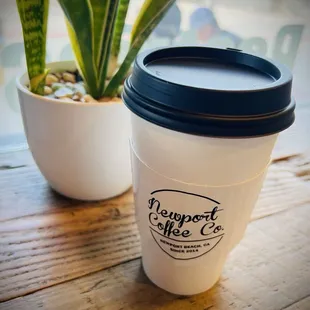 I love taking photos like this... so cute in front of the mini snake plant on their counter!