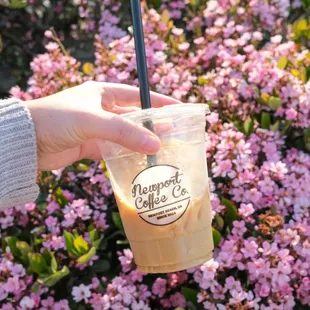 flavored latte with hazelnut and macadamia nut milk