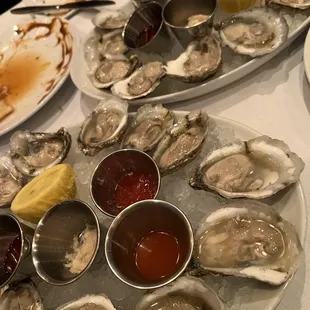 Barcat oysters