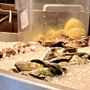 oysters and mussels, food, oysters, shellfish, mussels