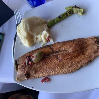 Idaho Rainbow Trout