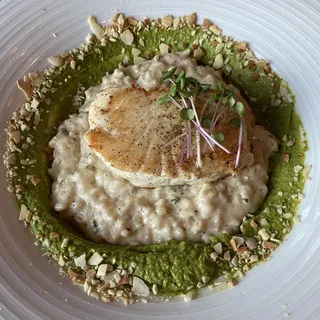 Canadian Halibut
