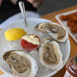 Blue Point Oysters