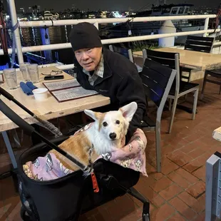 Our doggie who the staff spoiled.