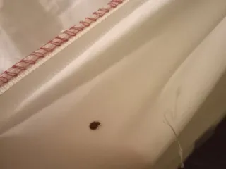 Gloucester Inn Motel