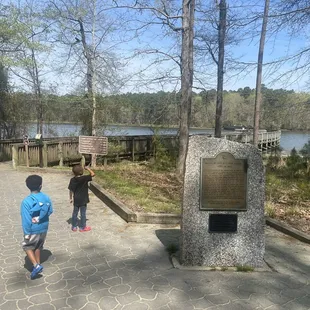 Overlooking the observation bridge