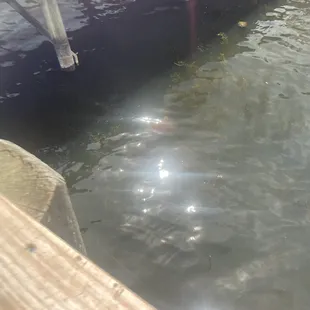 Plenty to see on the observation bridge