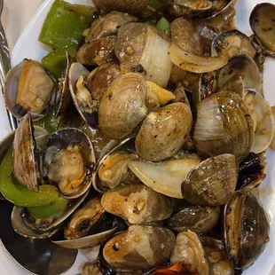 Clams with Black Bean Sauce