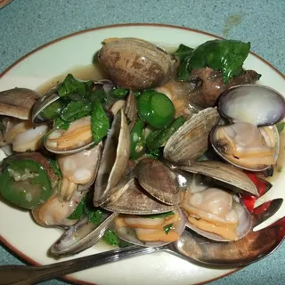 Clams with Basil Sauce Lunch