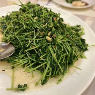 Sauteed Peasprout Or Chinese Broccoli