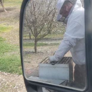 Beekeeping  in action