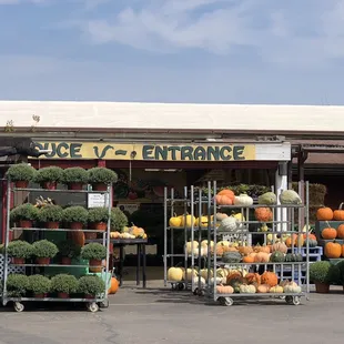 Market entrance in the Fall.