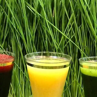 Wheatgrass Shot