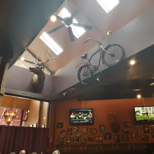 interesting decor... deer head &amp; a bike