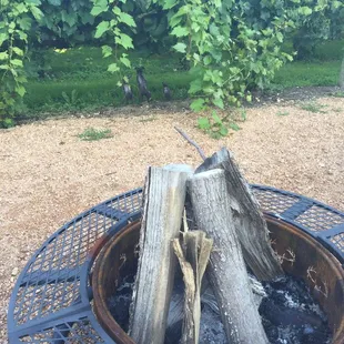 Fire pit view of the vines.