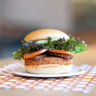 a burger on a plate