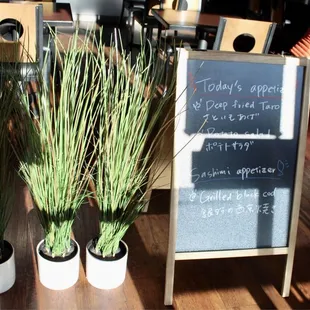 a chalkboard and potted plants